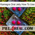 Kamagra Oral Jelly How To Use 14